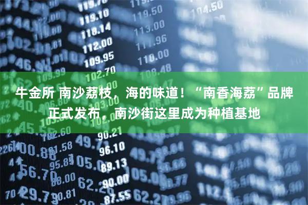 牛金所 南沙荔枝，海的味道！“南香海荔”品牌正式发布，南沙街这里成为种植基地