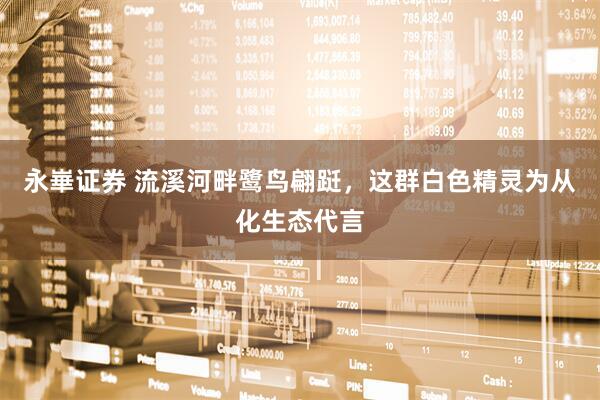 永崋证券 流溪河畔鹭鸟翩跹，这群白色精灵为从化生态代言